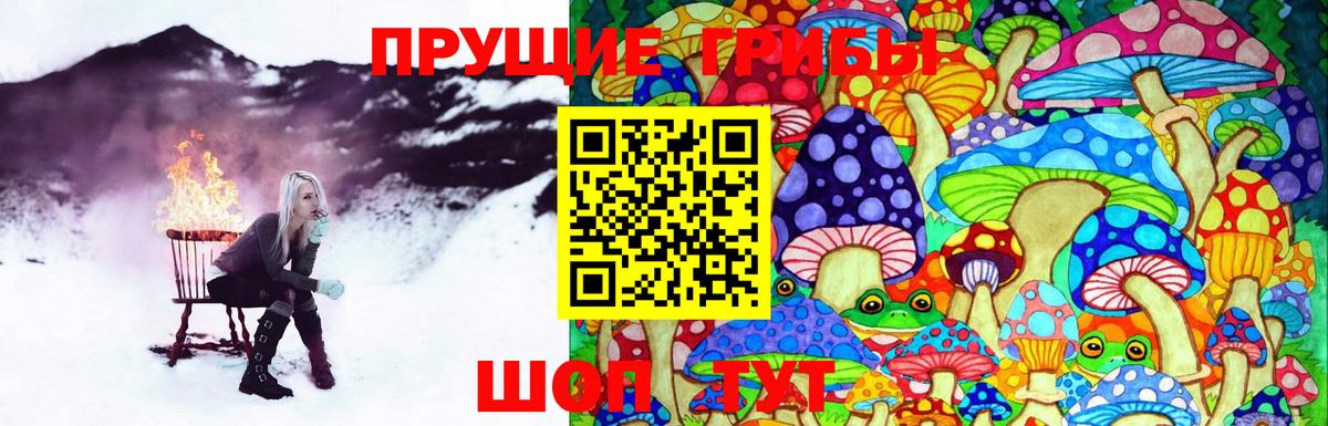 Тула  Псилоцибиновые грибы мухоморы  Вход с VPN  хочу наркоту  Галлюциногенные грибы мицелий 